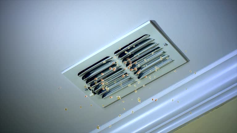 Best Residential Air Duct Cleaning  in Dublin, VA